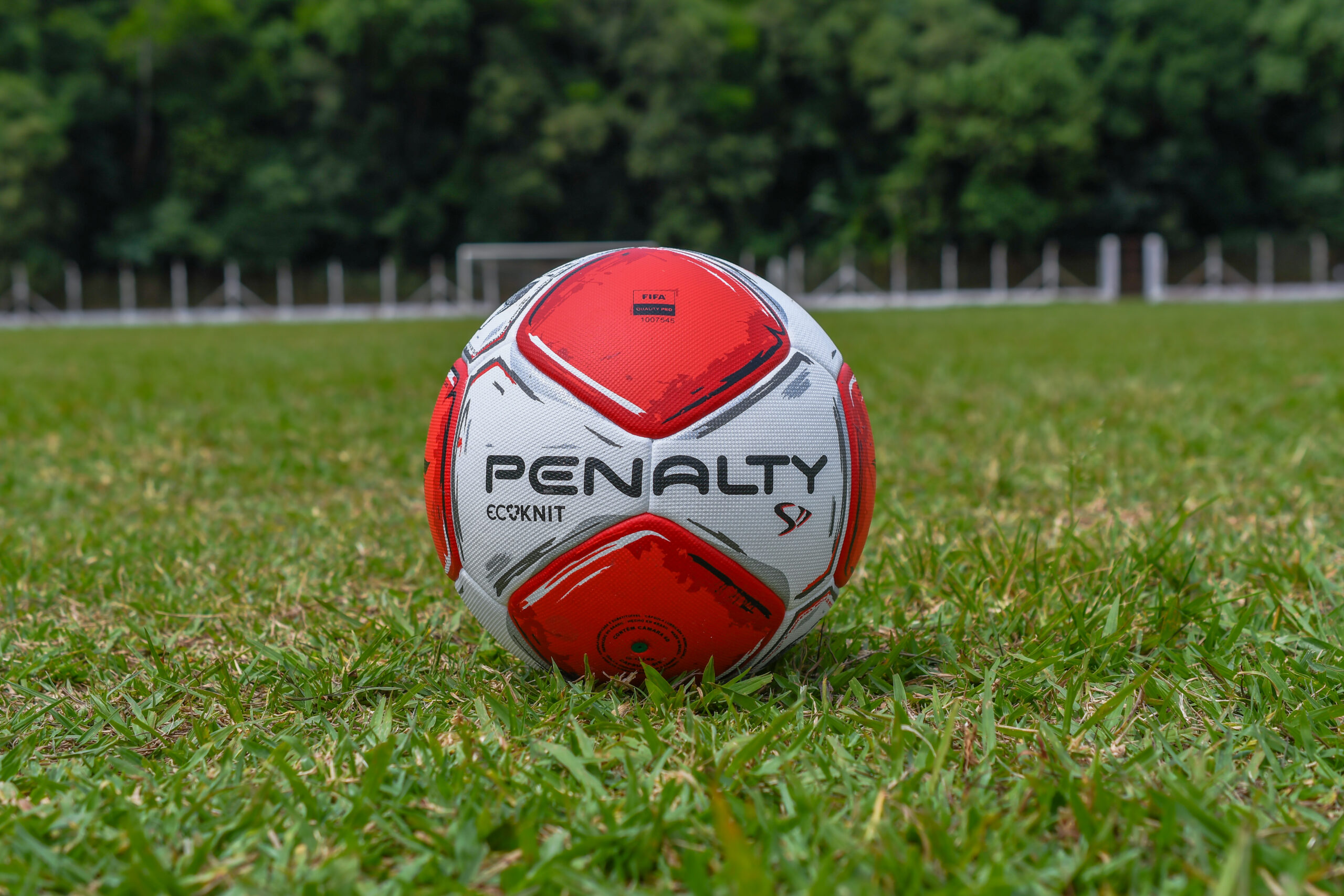 Rugby : Copa do Mundo 23, Saiba tudo Aqui ! - Blog da Penalty #JogaJuntoNews